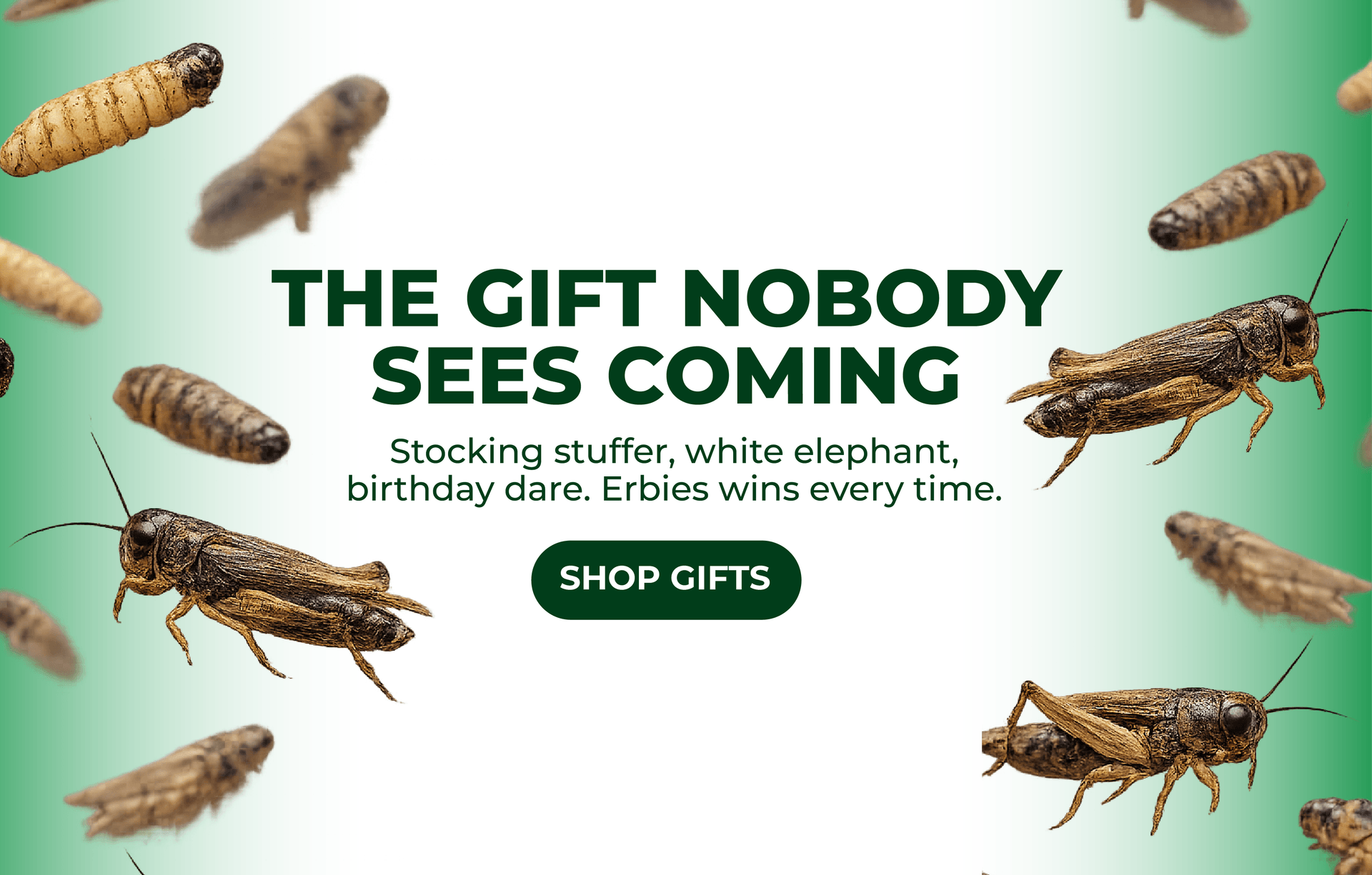 The Gift Nobody Sees Coming — Shop Erbies