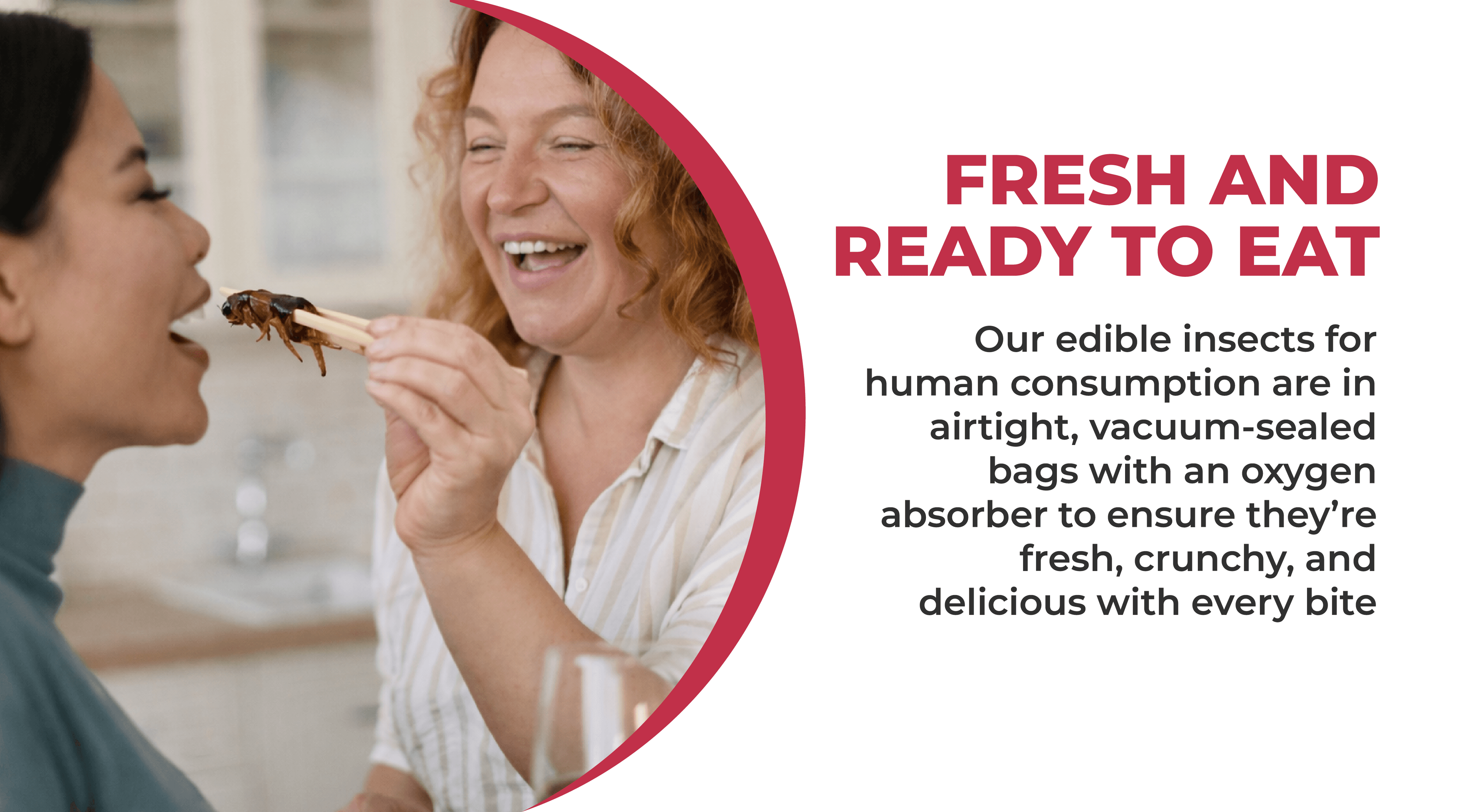Two friends laughing while sharing edible insects, with text explaining Erbies crickets are fresh and ready to eat in airtight vacuum-sealed bags with an oxygen absorber for freshness and crunch