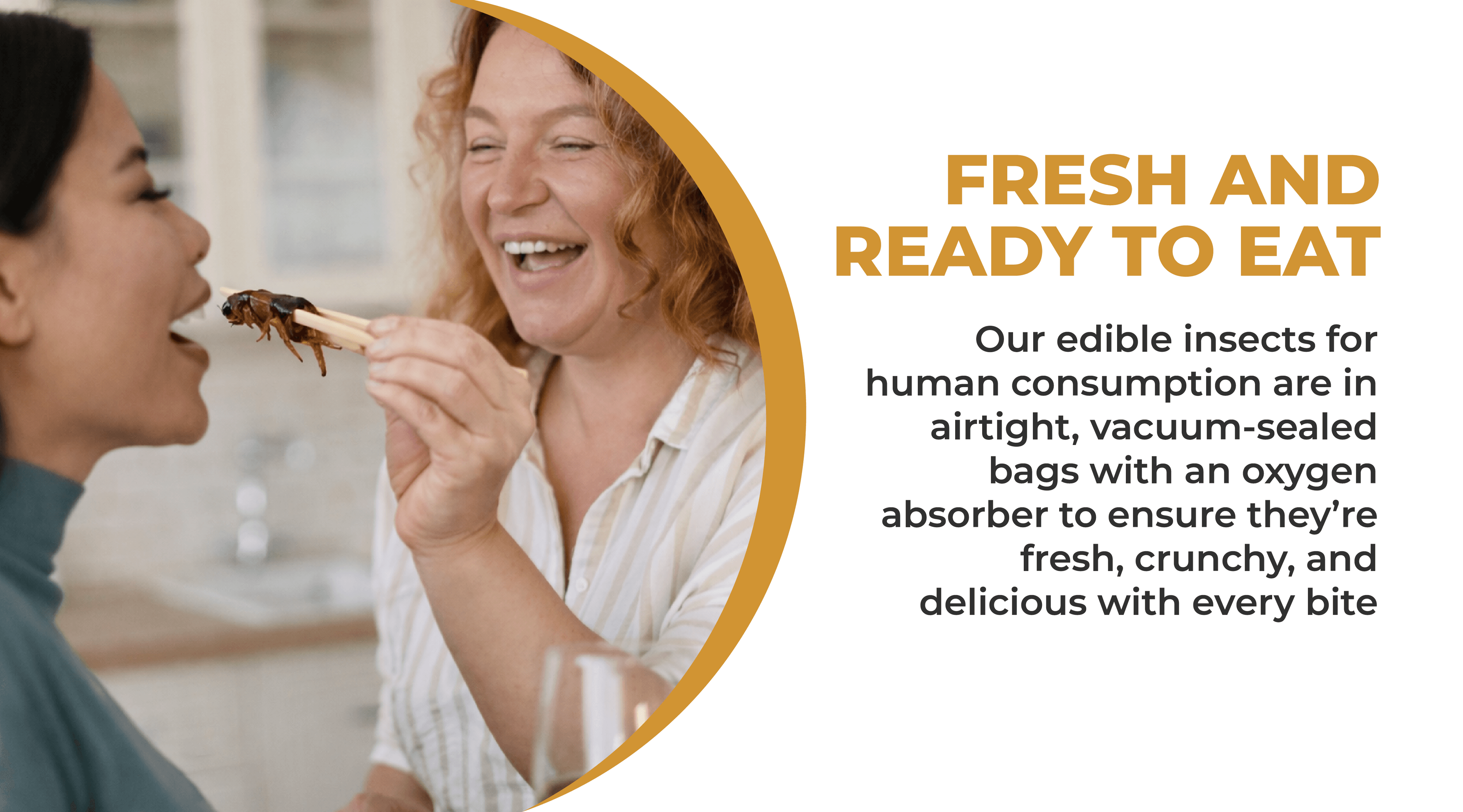 Two friends laughing while sharing edible insects, with text explaining Erbies crickets are fresh and ready to eat in airtight vacuum-sealed bags with an oxygen absorber for freshness and crunch