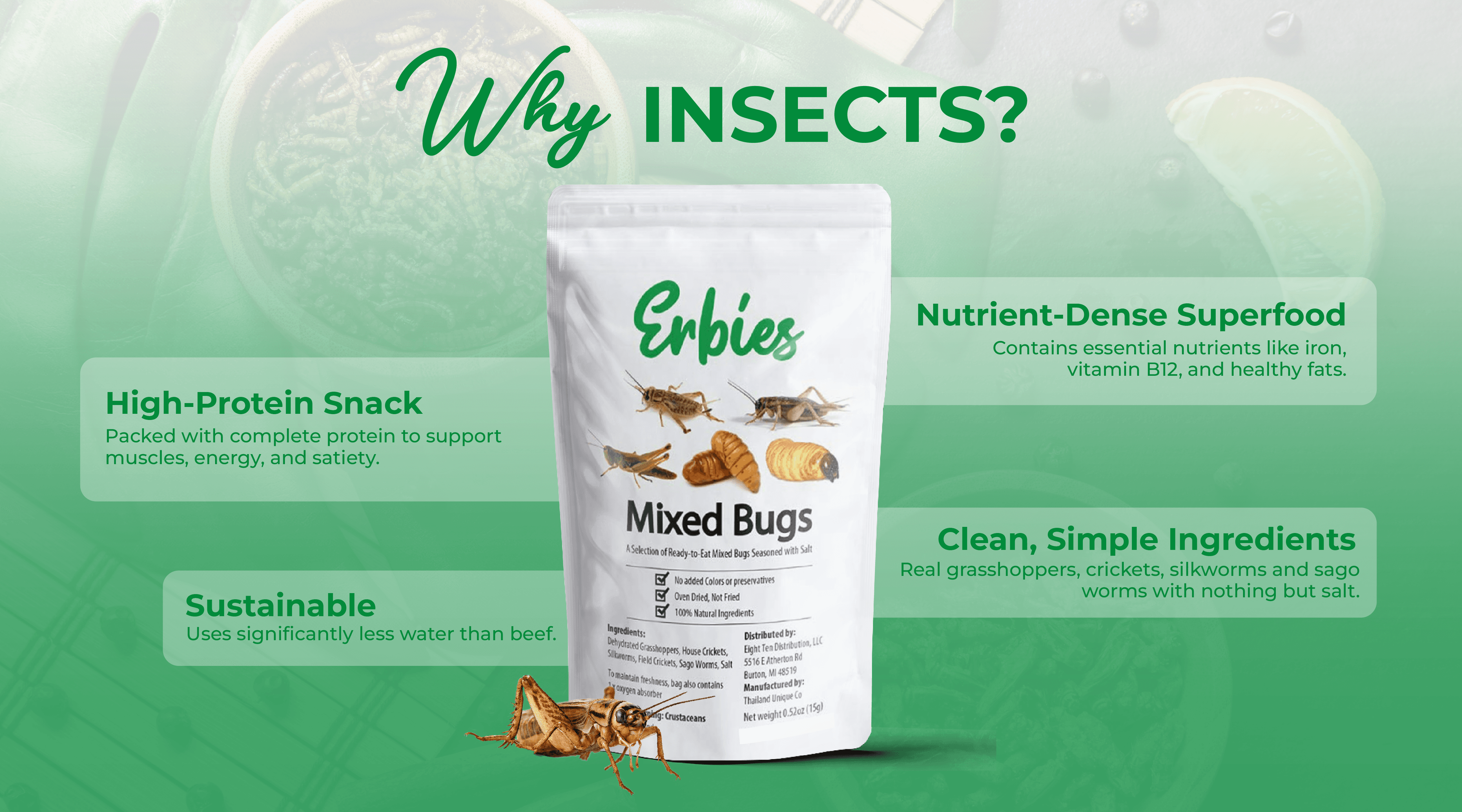 Why Insects infographic featuring Erbies Mixed Bugs bag surrounded by four key benefits: high-protein snack with complete protein for muscles and energy, nutrient-dense superfood with iron, vitamin B12, and healthy fats, sustainable using less water than beef, and clean simple ingredients with real grasshoppers, crickets, silkworms, and sago worms